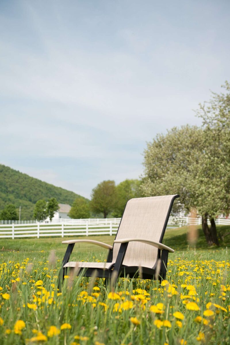 A lounge chair sits in a field of yellow dandelions with blooming trees and green mountains in the background, enclosed by a white fence; nearby, a fire pit inserts an inviting warmth into the