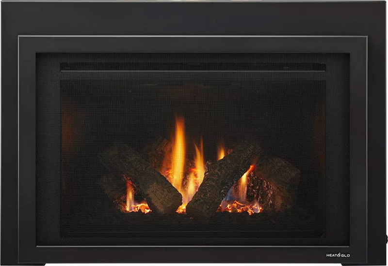 Provident fireplace insert
